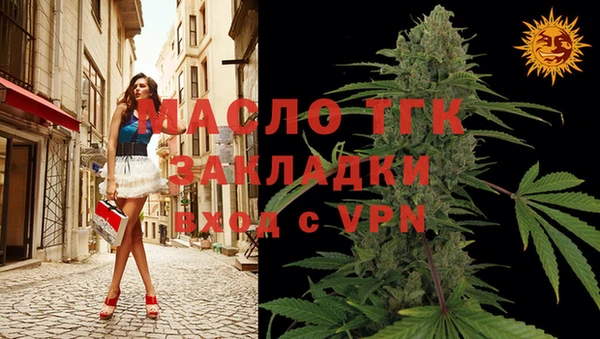 дмт Елизово