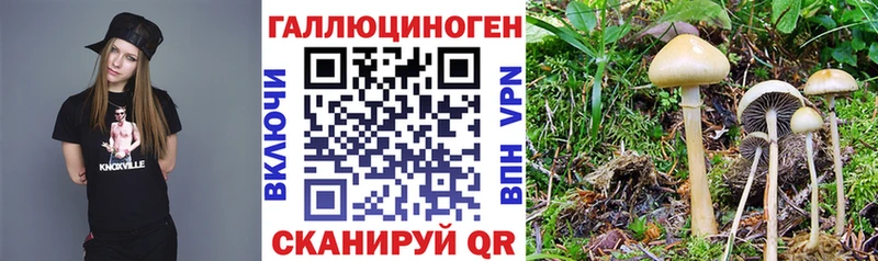 Галлюциногенные грибы Psilocybine cubensis где можно купить MEGA зеркало Пролетарск